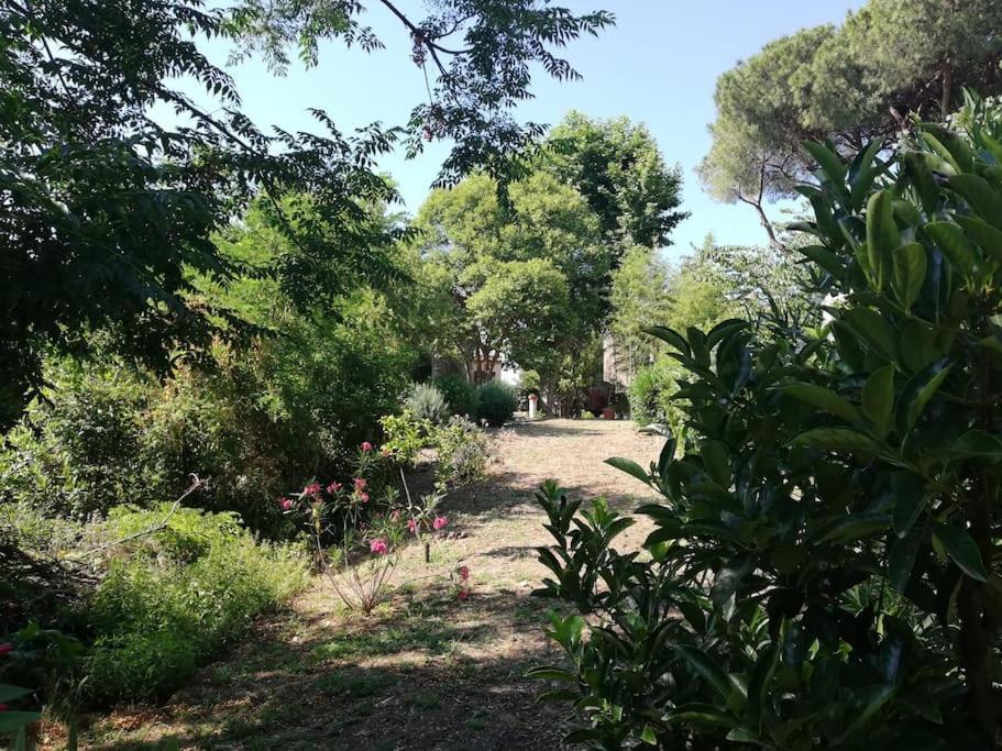 Appartamento Roma, Екстер'єр фото